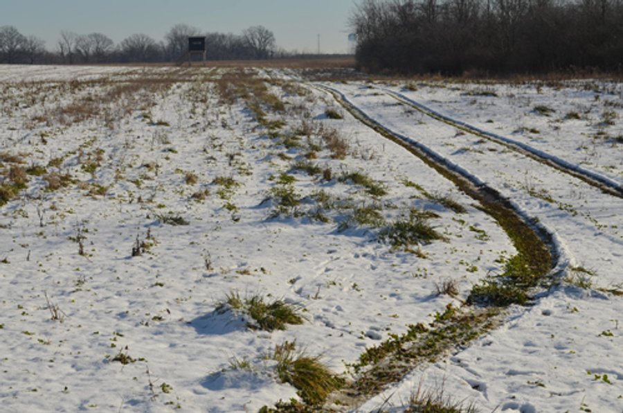 For sale: Great Investment Opportunity - Tillable Land, Recreation & Building Site - Near Hicksville, OH